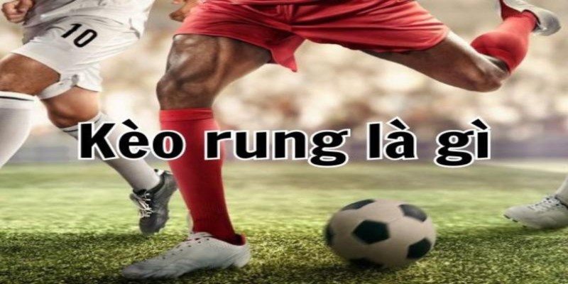 Cách đánh kèo rung tại nhà cái Mibet chắc thắng 100% 1 Keo-rung-la-gi